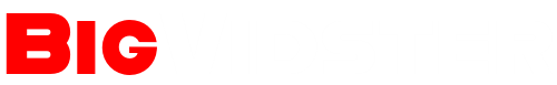 BigVidster